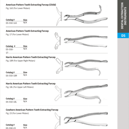 American  Pattern Tooth Extracting Forcep