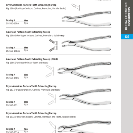 Cryer American  Pattern Tooth Extracting Forcep
